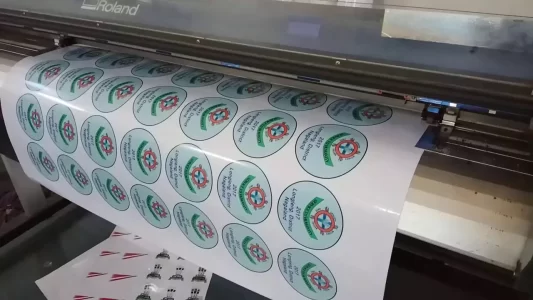 vinyl sticker printing services