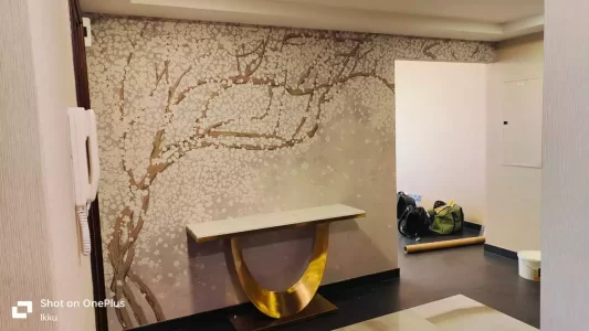 Wallpaper and Wallcovering in Dubai